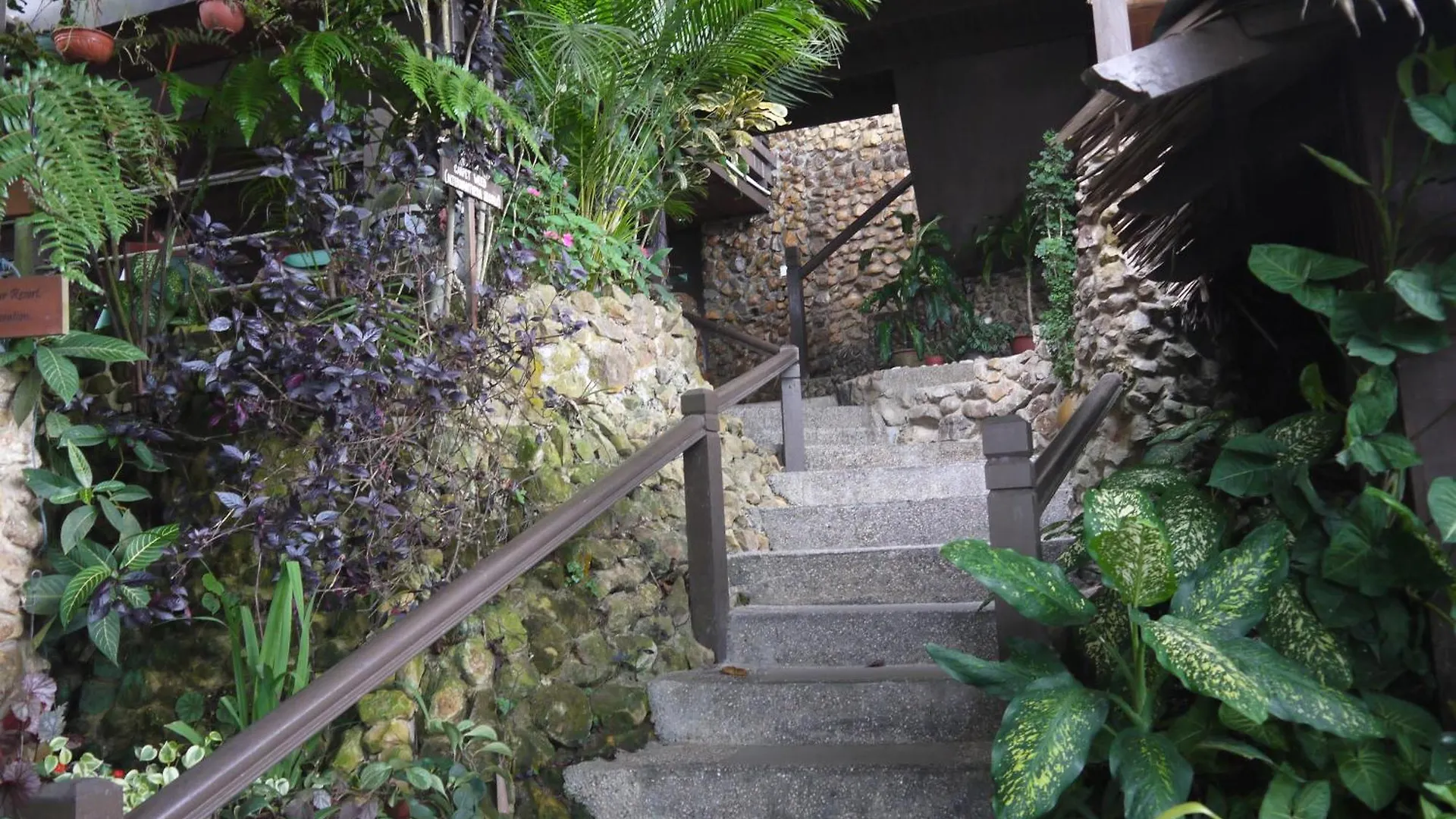 ***  Kasih Sayang Hill Resort Kota Kinabalu Malaysia