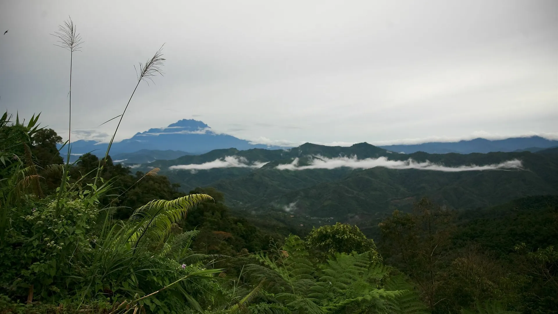 Kasih Sayang Hill Resort Kota Kinabalu